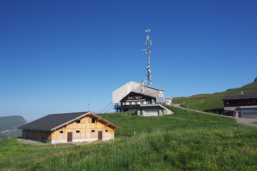 IMGP0978.jpg(280864 byte)