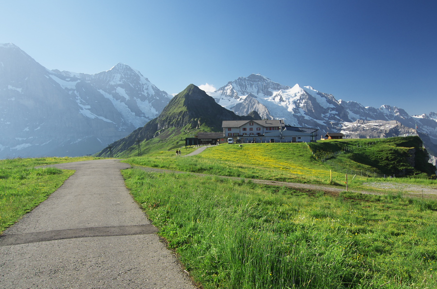 IMGP0979.jpg(387331 byte)