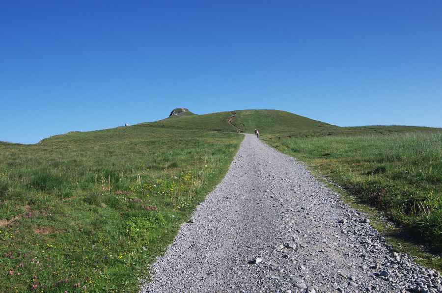 IMGP0980.jpg(394248 byte)