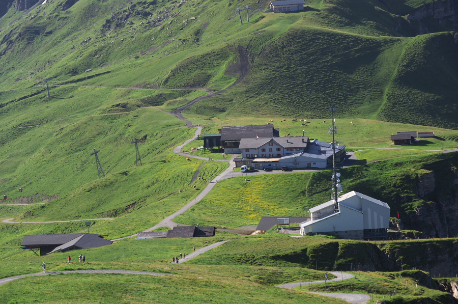 IMGP1051.jpg(456881 byte)