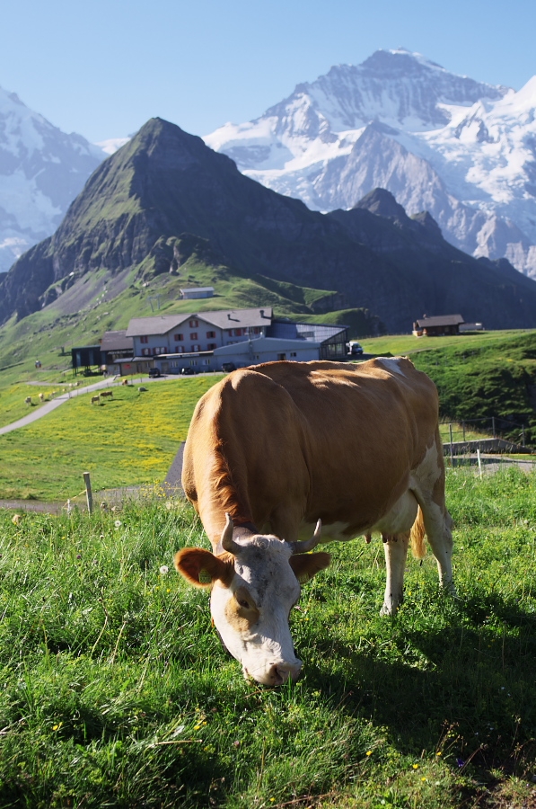 IMGP1137.jpg(418229 byte)