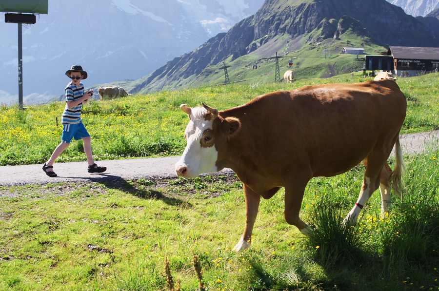 IMGP1145.jpg(487743 byte)