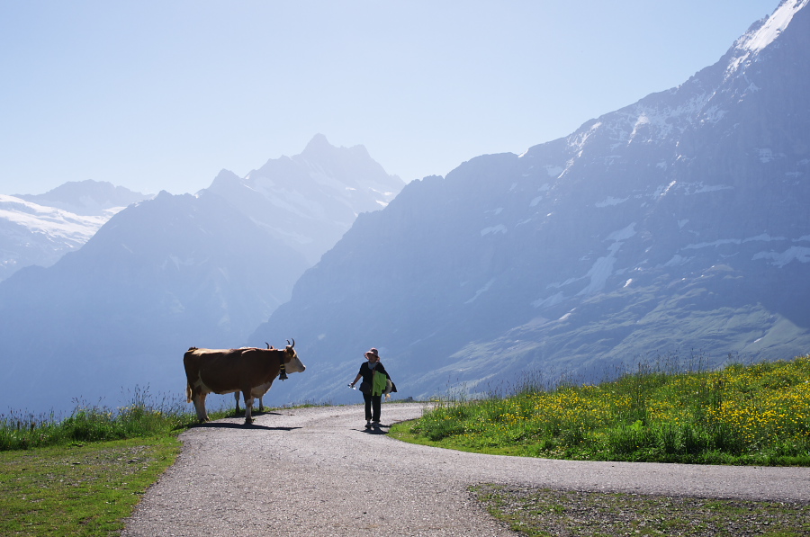 IMGP1147.jpg(274005 byte)