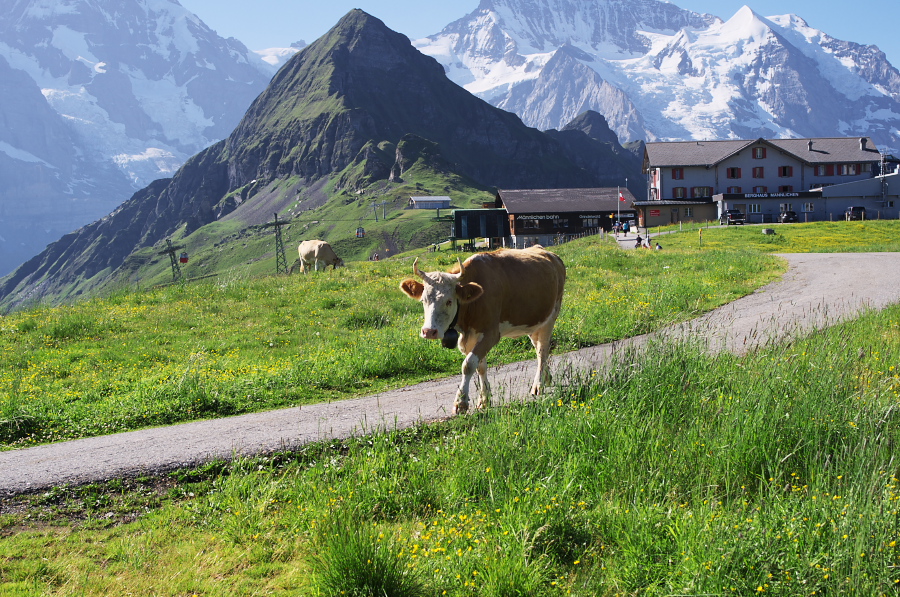 IMGP1149.jpg(545095 byte)