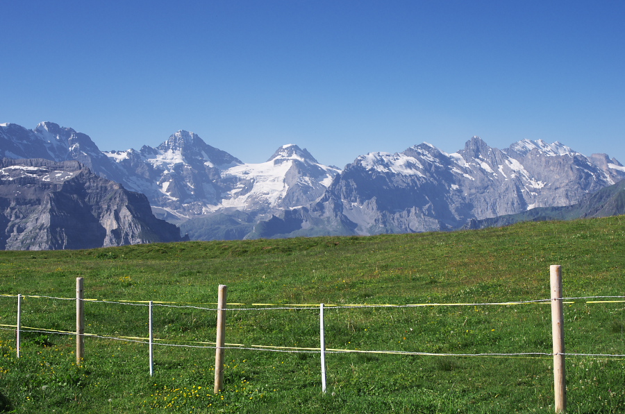 IMGP1153.jpg(386568 byte)