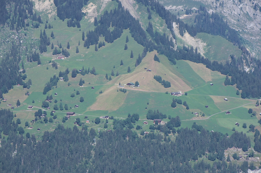 IMGP1187.jpg(369557 byte)