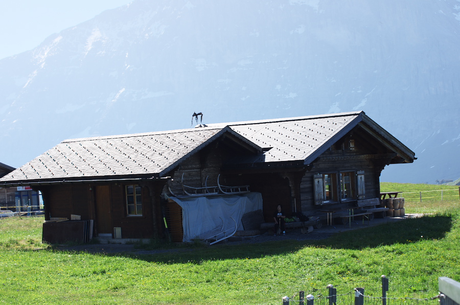 IMGP1194.jpg(317318 byte)