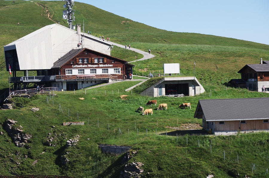 IMGP1200.jpg(443569 byte)