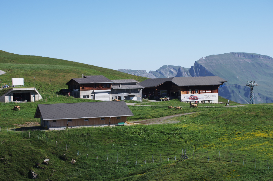 IMGP1212.jpg(341314 byte)