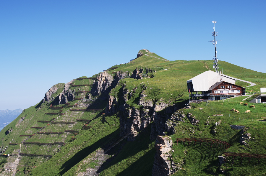 IMGP1215.jpg(347463 byte)