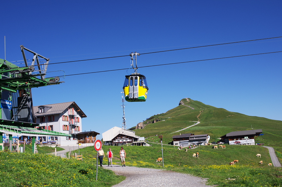 IMGP1231.jpg(336098 byte)