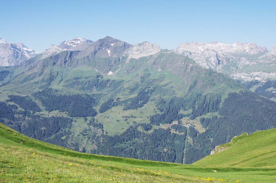 IMGP1239.jpg(375305 byte)