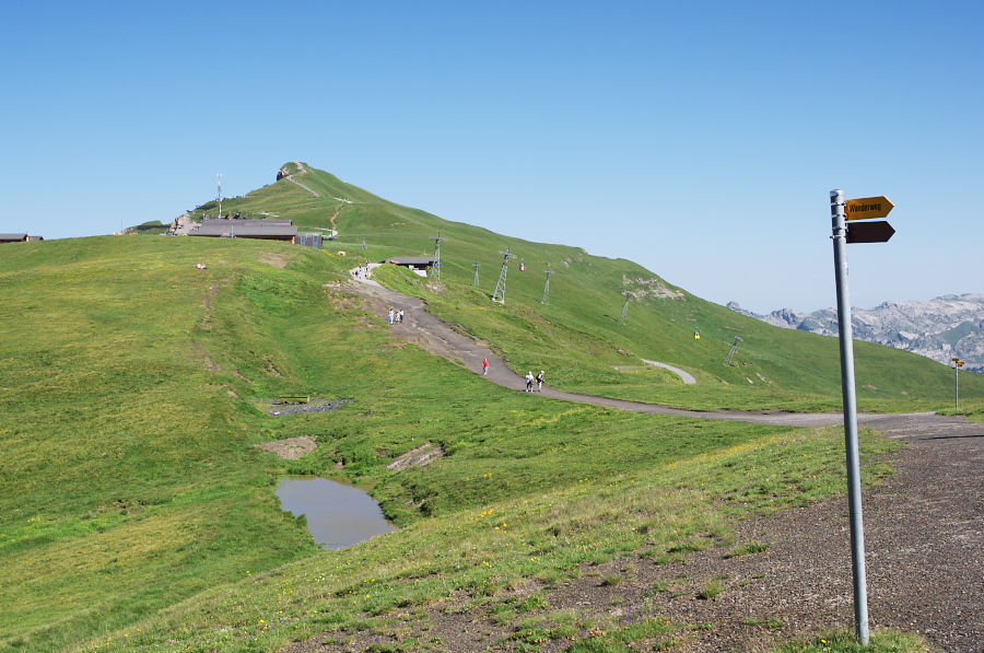 IMGP1240.jpg(359174 byte)