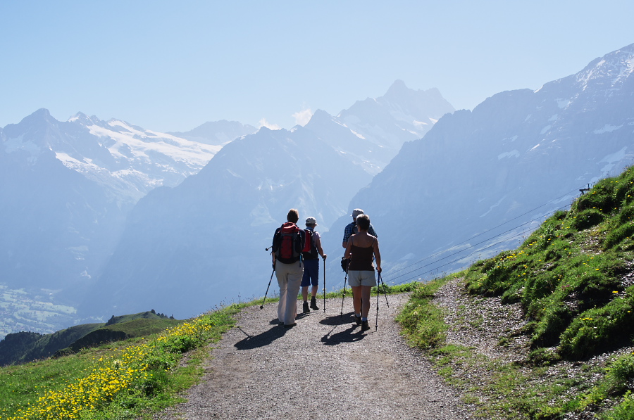 IMGP1241.jpg(321241 byte)