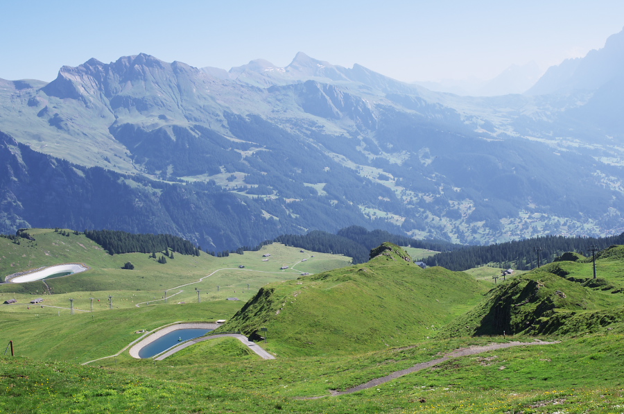 IMGP1248.jpg(355868 byte)