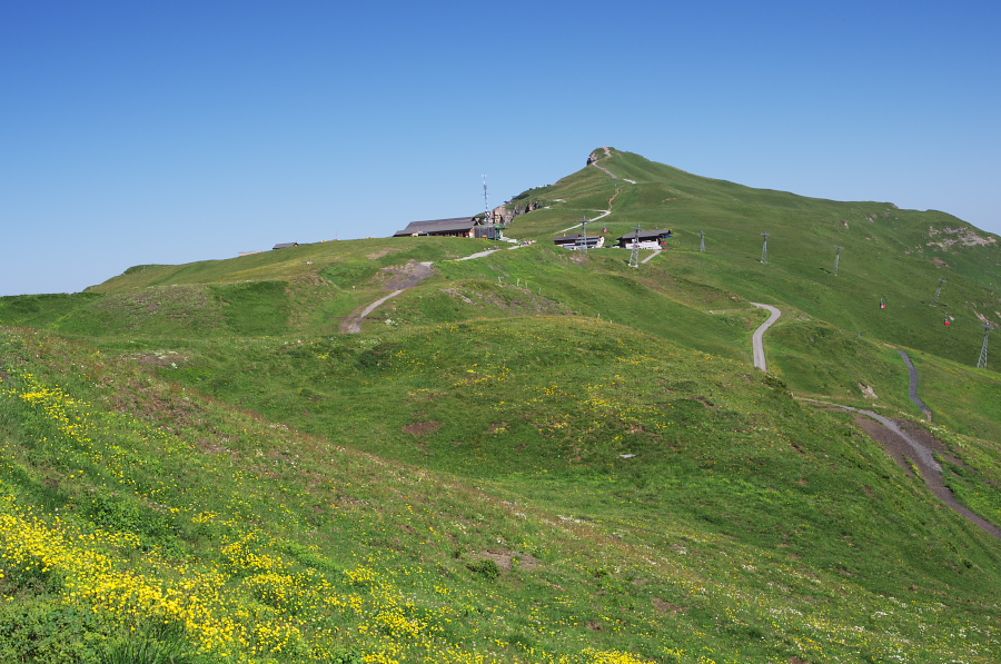 IMGP1254.jpg(409440 byte)