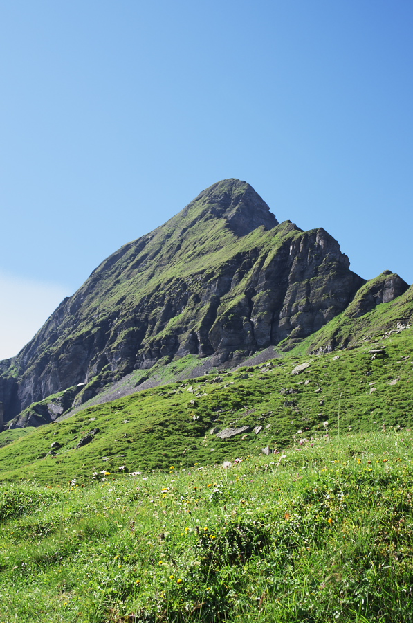 IMGP1256.jpg(426257 byte)