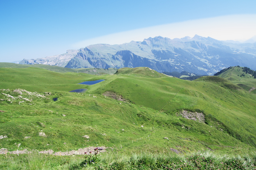 IMGP1268.jpg(394173 byte)