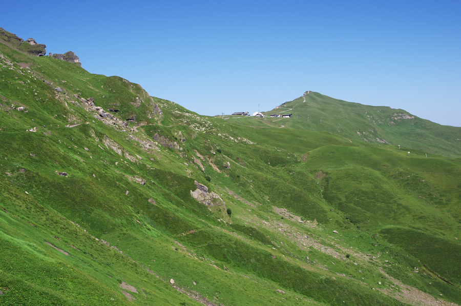 IMGP1283.jpg(360239 byte)