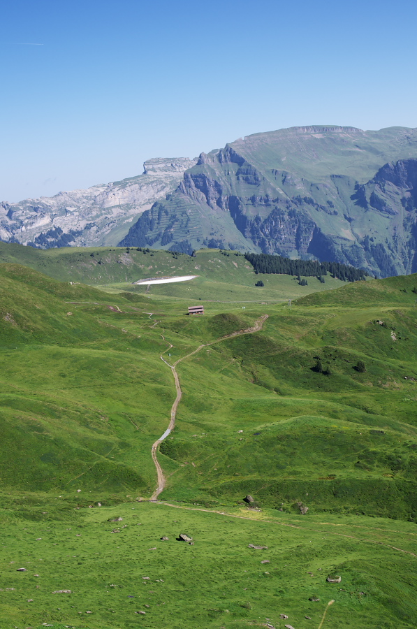 IMGP1287.jpg(354390 byte)