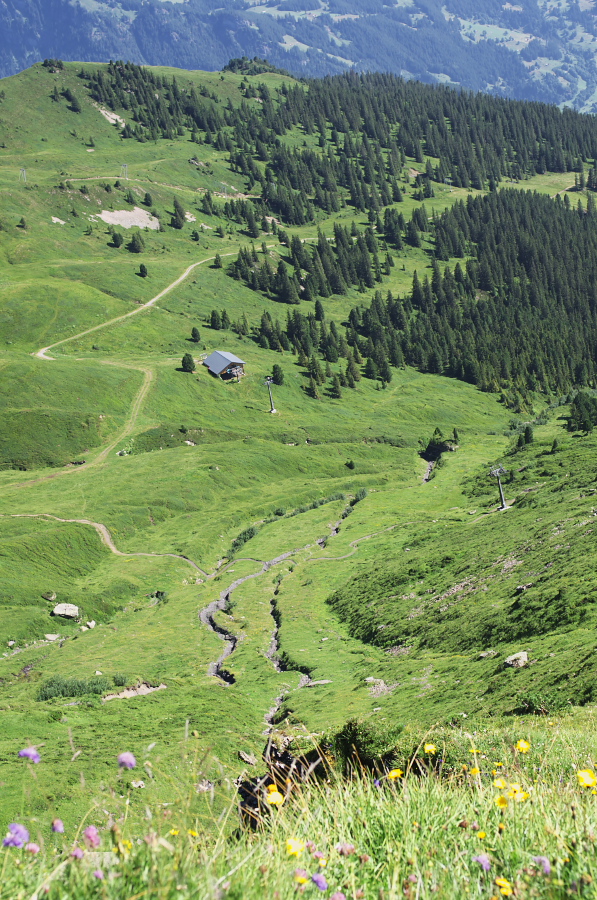 IMGP1289.jpg(529737 byte)