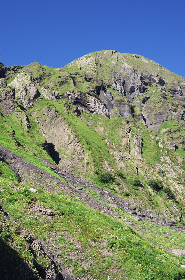 IMGP1293.jpg(521694 byte)