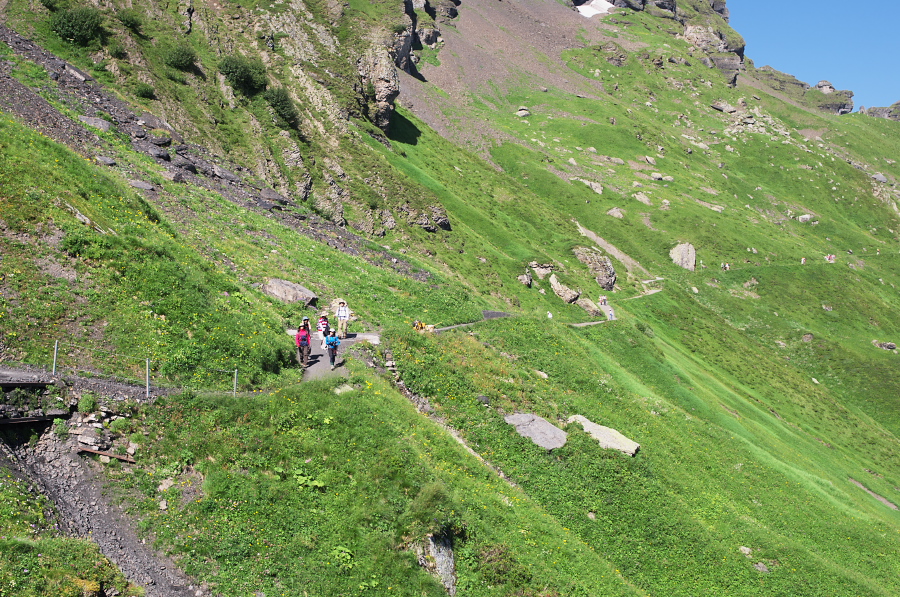 IMGP1295.jpg(602781 byte)