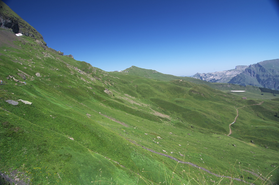 IMGP1298.jpg(338582 byte)