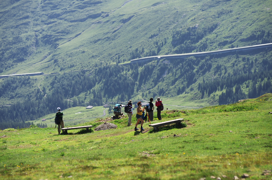 IMGP1363.jpg(439720 byte)