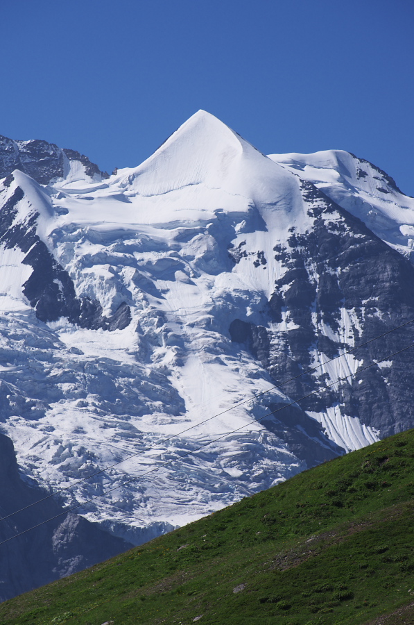 IMGP1375.jpg(353232 byte)