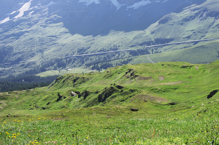 IMGP1391.jpg(502545 byte)