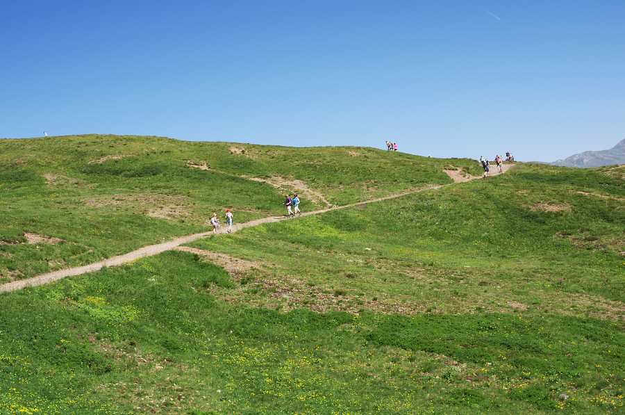 IMGP1397.jpg(422407 byte)