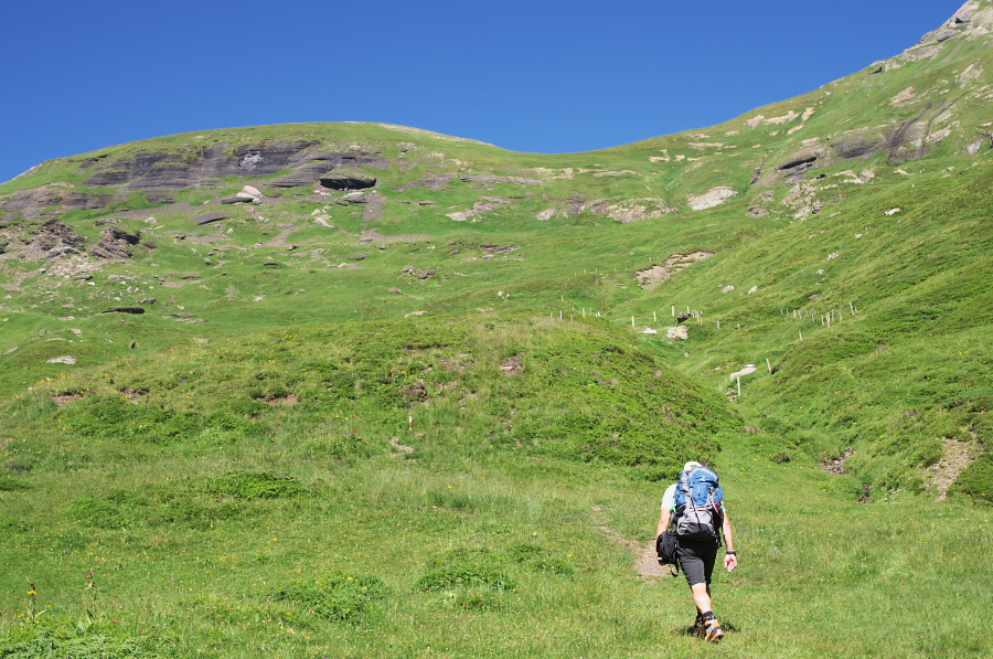 IMGP1420.jpg(461808 byte)