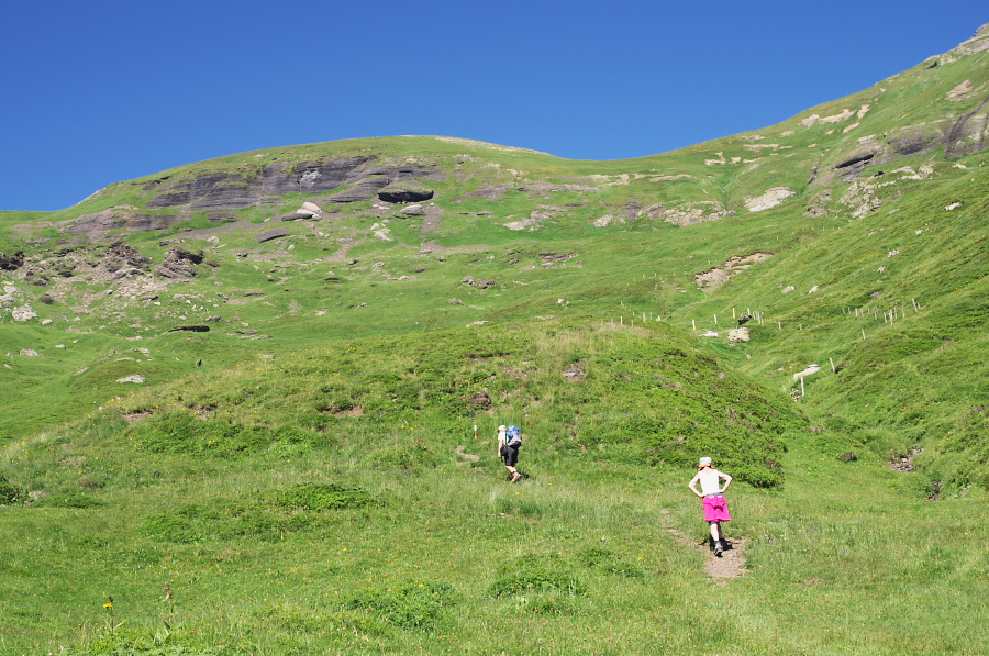 IMGP1425.jpg(452876 byte)