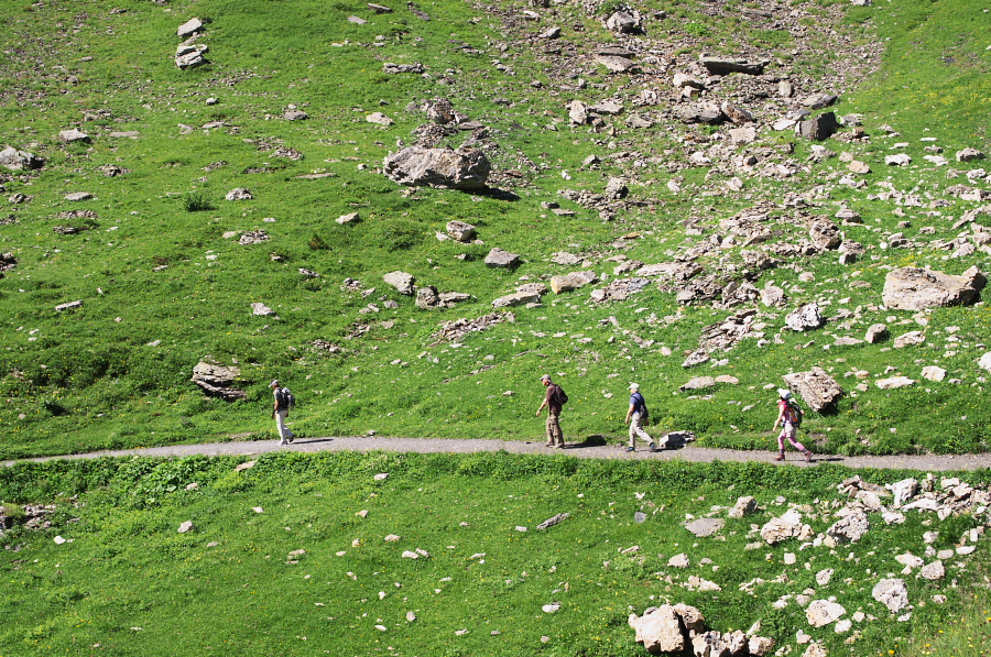 IMGP1428.jpg(680164 byte)