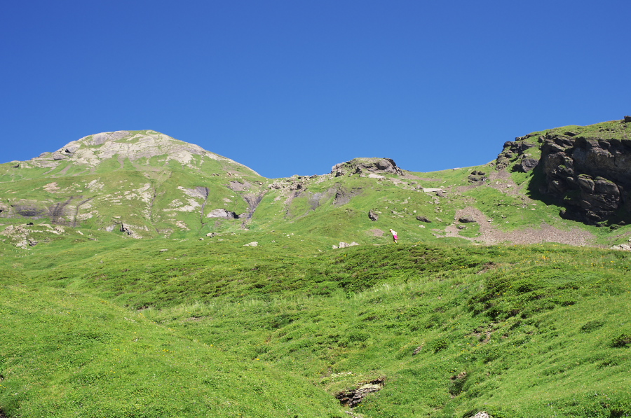 IMGP1434.jpg(403991 byte)