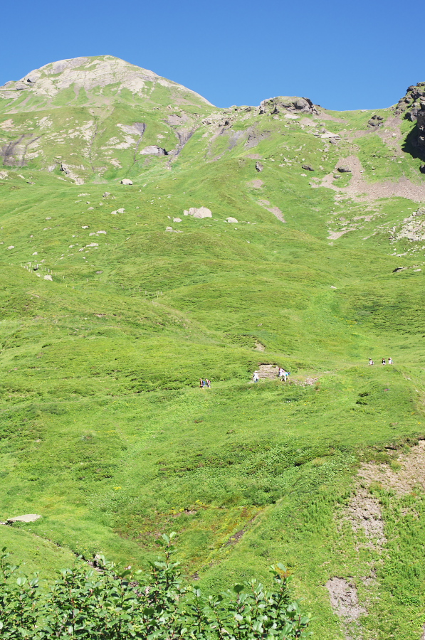 IMGP1442.jpg(501235 byte)