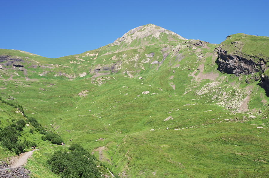 IMGP1446.jpg(410835 byte)