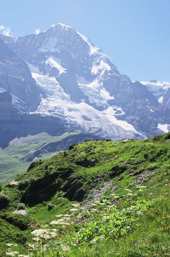 IMGP1448.jpg(450823 byte)