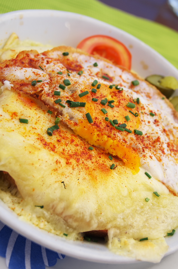 IMGP1509.jpg(316771 byte)