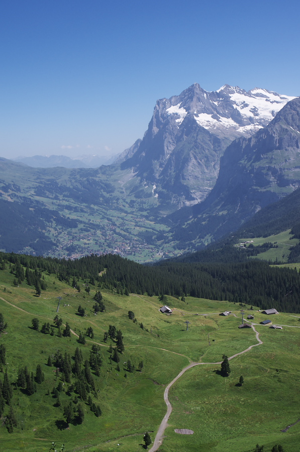 IMGP1523.jpg(313042 byte)