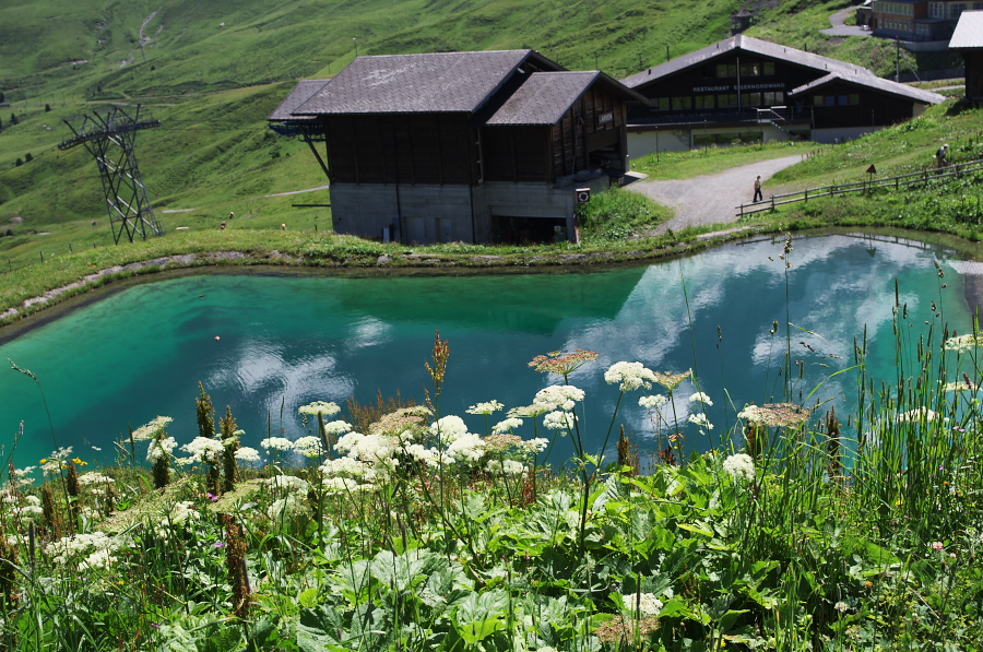 IMGP1553.jpg(504565 byte)