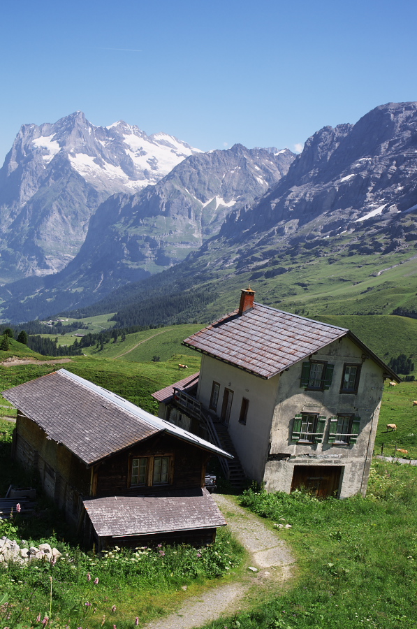 IMGP1557.jpg(400460 byte)