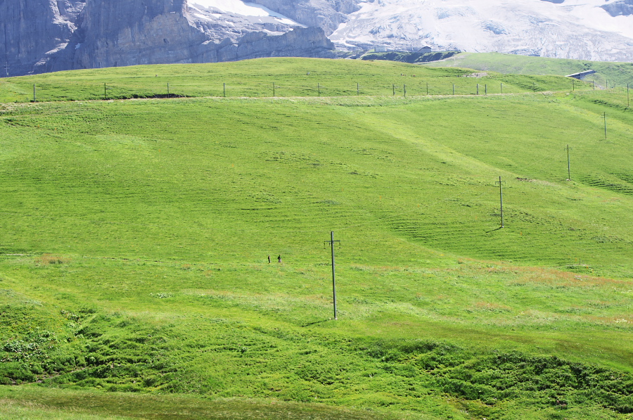 IMGP1584.jpg(487174 byte)