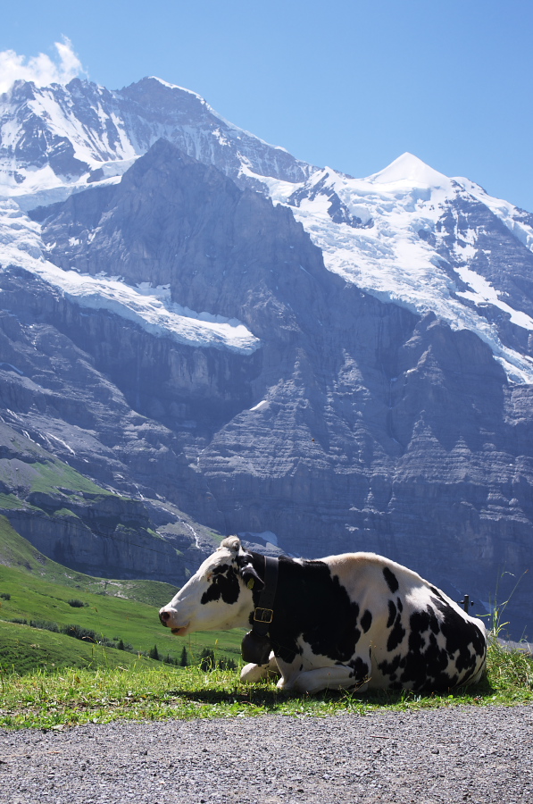 IMGP1586.jpg(373495 byte)