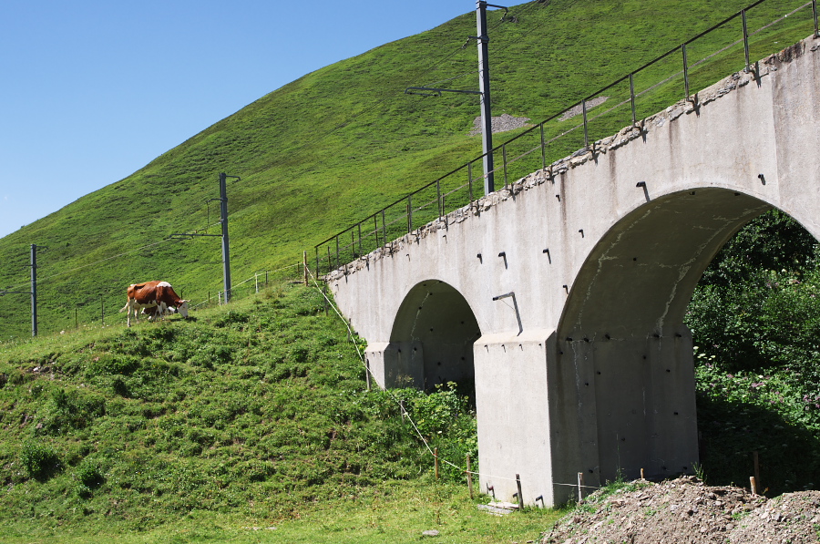 IMGP1589.jpg(474148 byte)