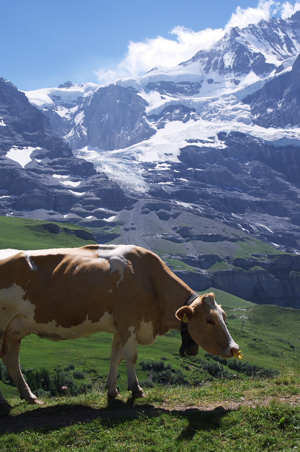 IMGP1595.jpg(371941 byte)