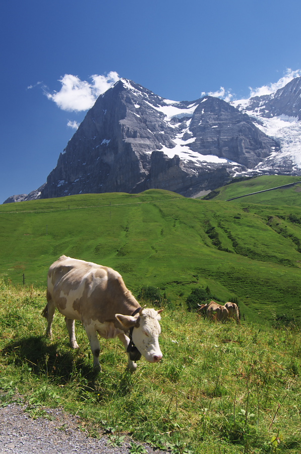 IMGP1597.jpg(412035 byte)