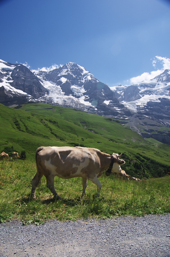 IMGP1598.jpg(412338 byte)