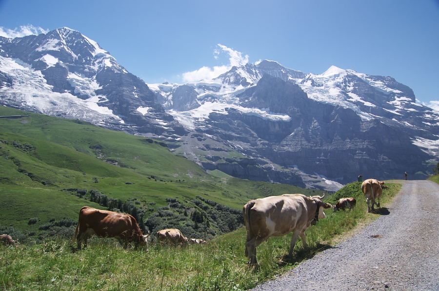 IMGP1599.jpg(396348 byte)